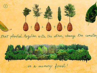 Tomando conciencia después de muerto Tomando conciencia después de muerto