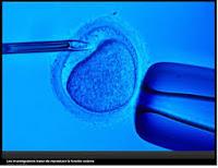 Fabrican Bioprotesis de Ovario que Restaura la Fertilidad