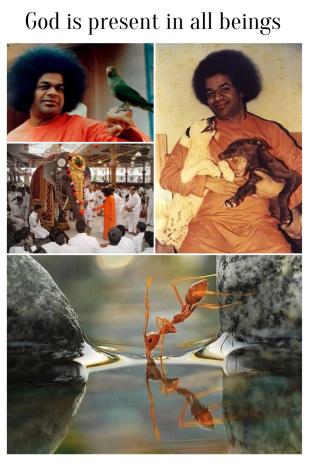 Trinidad Sai Dios está presente en todos los seres