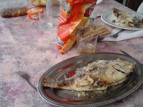 DORADAS A LA SAL, BY JFK, A LA BARCELONA D' ABANS, D' AVUI I DE SEMPRE...3-04-2016...!!! DORADAS A LA SAL, BY JFK, A LA BARCELONA D' ABANS, D' AVUI I DE SEMPRE...3-04-2016...!!!