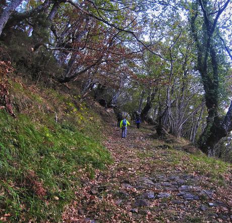 TROBANIELLO - SOBRE EL TAMBARON - VALLE LA FOIX