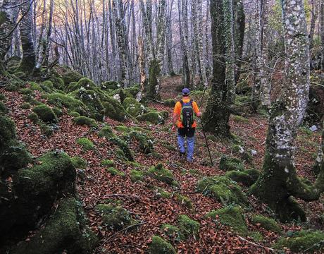 TROBANIELLO - SOBRE EL TAMBARON - VALLE LA FOIX