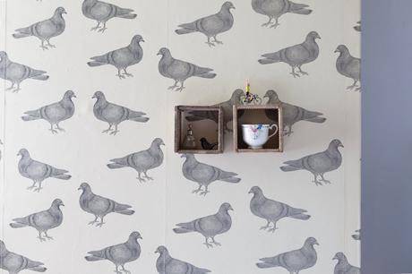 Traseros y traseras Traseros y traseras