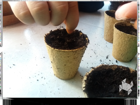 Más allá del jardín Más allá del jardín