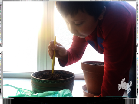 Más allá del jardín Más allá del jardín