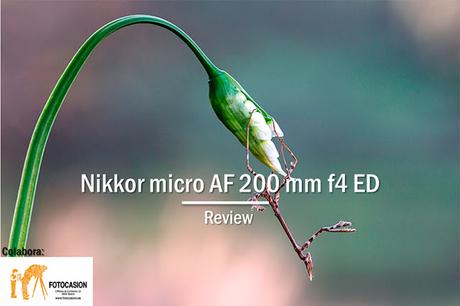 Review Nikkor micro AF 200 mm f4 ED Review Nikkor micro AF 200 mm f4 ED