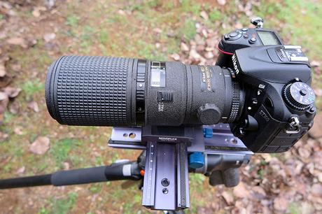 Review Nikkor micro AF 200 mm f4 ED Review Nikkor micro AF 200 mm f4 ED