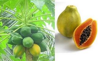 Papaya baja de peso combate las lombrices Papaya baja de peso combate las lombrices