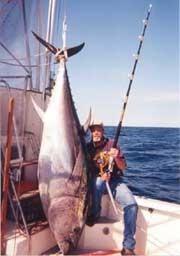 Atún rojo, en peligro de extinción