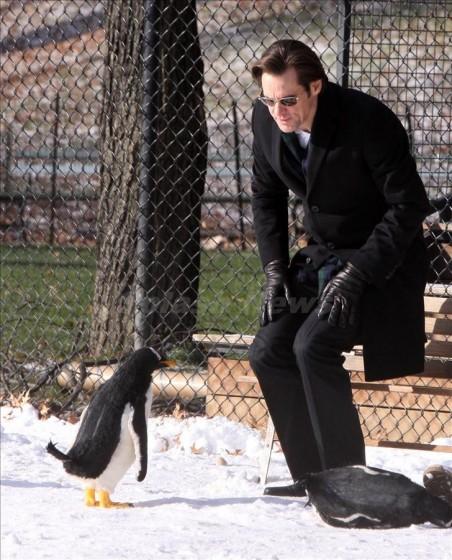 JimCarrey8 Jim Carrey en Mr. Popper’s Penguins