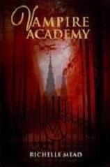 Lo último que leí..........Vampire Academy