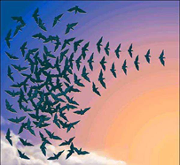 Extracto de Charla de Silo en Bogotá 1995 Extracto de Charla de Silo en Bogotá 1995