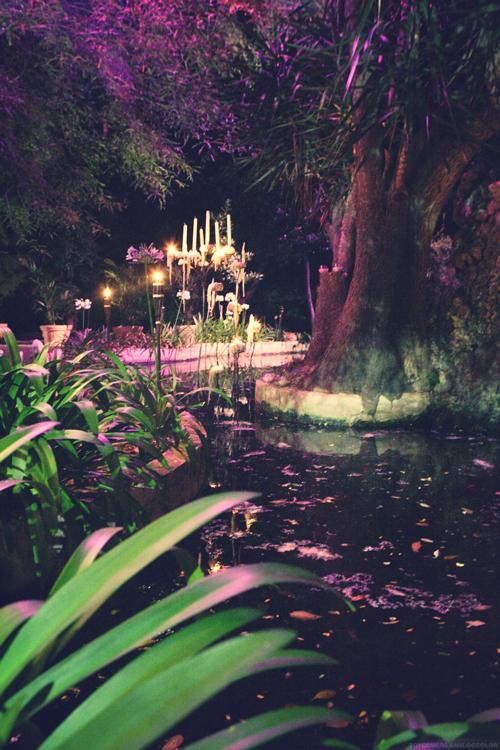 ... Y vivieron felices y comieron perdices! _U7O7998.jpg_effected-001