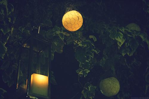 ... Y vivieron felices y comieron perdices! _U7O7652.jpg_effected