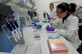Los investigadores creen que la situación de la ciencia en España no mejorará en 2011 Los investigadores creen que la situación de la ciencia en España no mejorará en 2011