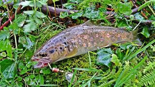 Un finde entretenido Un finde entretenido