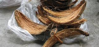 fibra de coco casera fibra de coco casera