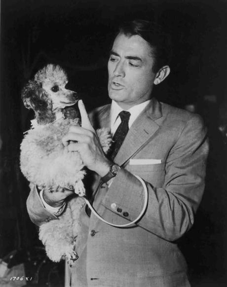 Miércoles Palomitero con Gregory Peck