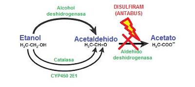 Antibióticos y alcohol: el Efecto Antabus