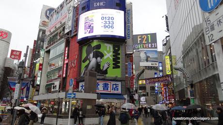 Tokio; Shibuya, Roppongi y la Tokyo Tower