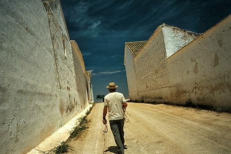 Luces dramáticas Luces dramáticas