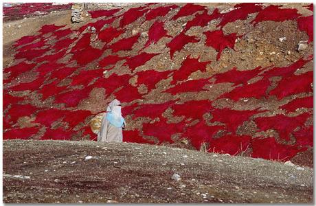 Luces dramáticas Luces dramáticas