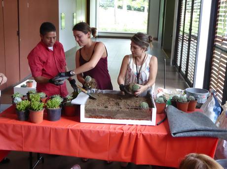 curso en Ecuador de jardines verticales