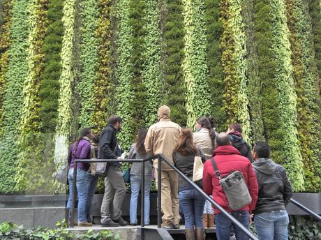 curso en Ecuador de jardines verticales