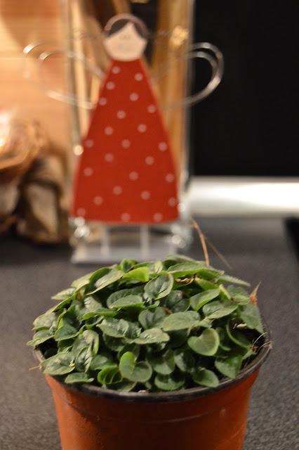 QUICHE DE VERDURAS BONITAS QUICHE DE VERDURAS BONITAS