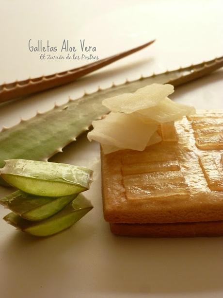 Galletas de Aloe Vera