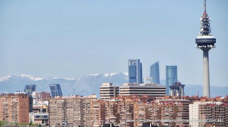 Las perspectivas del Zoom Las perspectivas del Zoom