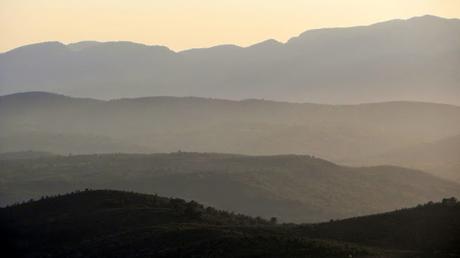 Las perspectivas del Zoom Las perspectivas del Zoom