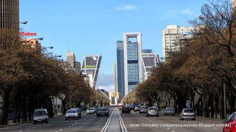 Las perspectivas del Zoom Las perspectivas del Zoom