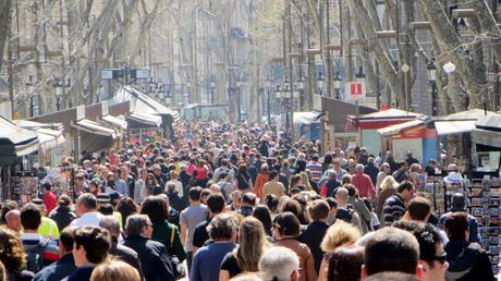 Las perspectivas del Zoom Las perspectivas del Zoom