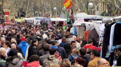 Las perspectivas del Zoom Las perspectivas del Zoom