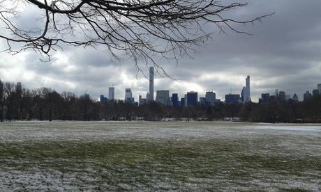 Vista de Central Park en un día nevado