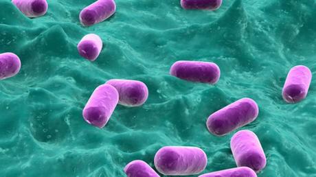 ¿Por qué algunas madres están practicando el cultivo bacteriano después de una cesárea (y por qué usted probablemente no debería)? Algunas madres están practicando el cultivo bacteriano después de una cesárea