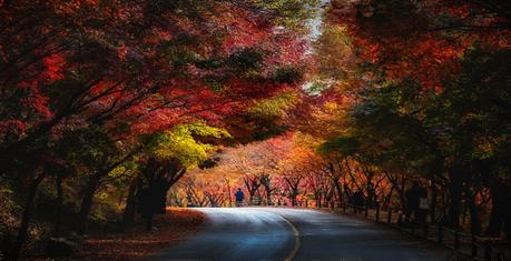 Autumn Road de Jaewoon U en 500px.com