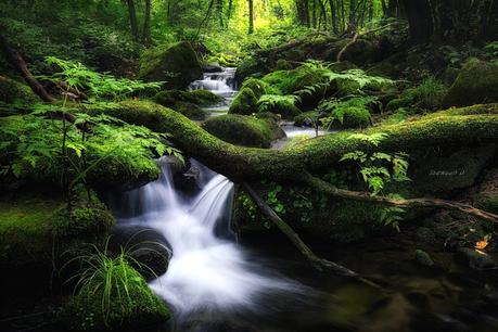 Hidden valley de Jaewoon U en 500px.com