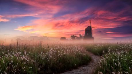 Misty morning de Jaewoon U en 500px.com