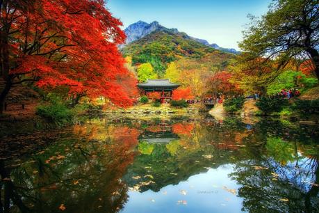 Autumn Reflection de Jaewoon U en 500px.com