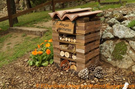 Cómo realizar un hotel para abejas solitarias Cómo realizar un hotel para abejas solitarias