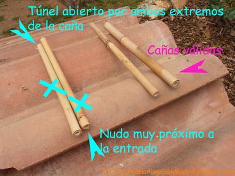 Cómo realizar un hotel para abejas solitarias Cómo realizar un hotel para abejas solitarias