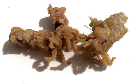 125 años no son nada Chipironcitos fritos de La Fitorra Hotel Cèsar en Vilanova i La Geltrú