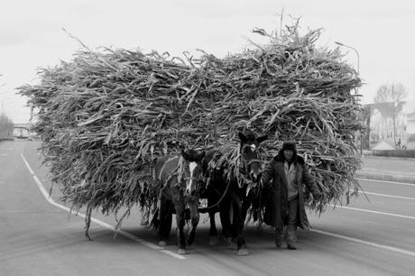 Caballo Carretera 1 600x400