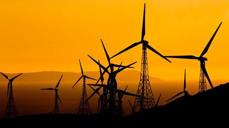 ¿Baterías biológicas? Estas bacterias pueden crear un mundo basado en energías renovables ¿Baterías biológicas? Estas bacterias pueden crear un mundo basado en energías renovables