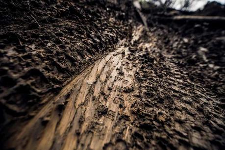 Copa del Mundo DH 2016 #1, Lourdes: Aaron Gwin y Rachel Atherton golpean primero Copa del Mundo DH 2016 #1, Lourdes: Aaron Gwin y Rachel Atherton golpean primero