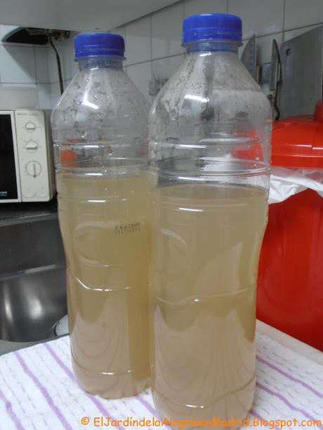 Té de cáscara de plátano. Una buena forma de aportar potasio (K) a nuestras plantas en flor o fruto Té de cáscara de plátano. Una buena forma de aportar potasio (K) a nuestras plantas en flor o fruto