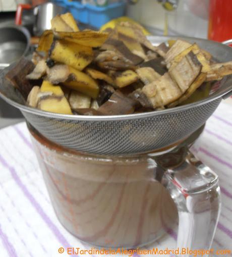 Té de cáscara de plátano. Una buena forma de aportar potasio (K) a nuestras plantas en flor o fruto Té de cáscara de plátano. Una buena forma de aportar potasio (K) a nuestras plantas en flor o fruto