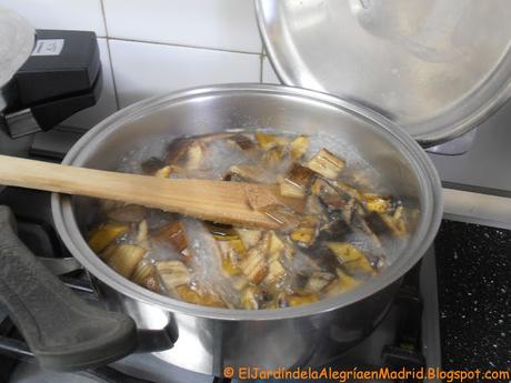 Té de cáscara de plátano. Una buena forma de aportar potasio (K) a nuestras plantas en flor o fruto Té de cáscara de plátano. Una buena forma de aportar potasio (K) a nuestras plantas en flor o fruto